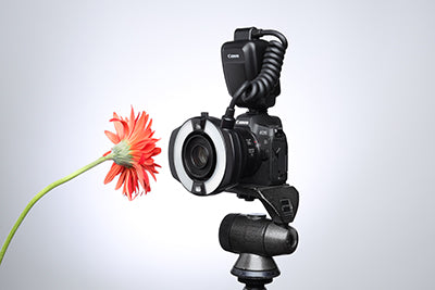 RF35mm F1.8 MACRO IS STM – Canon Online Store 網上商店